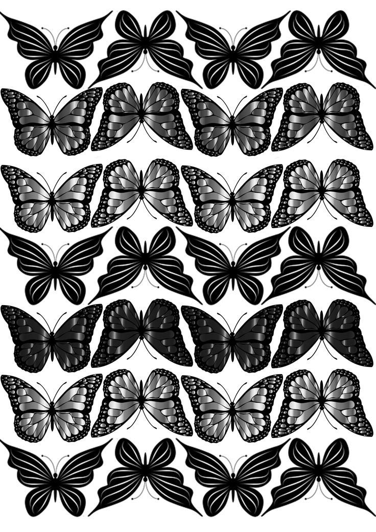 lamina comestible mariposa 22
