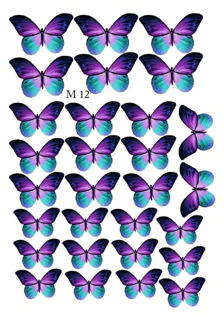 lamina comestible mariposas 12