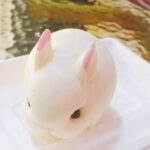 Molde de silicona conejitos x 6