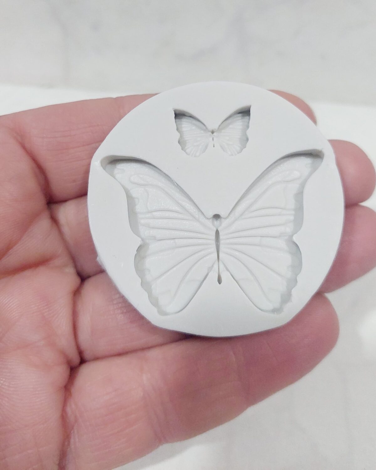 Molde de silicona mariposas x 2 scaled