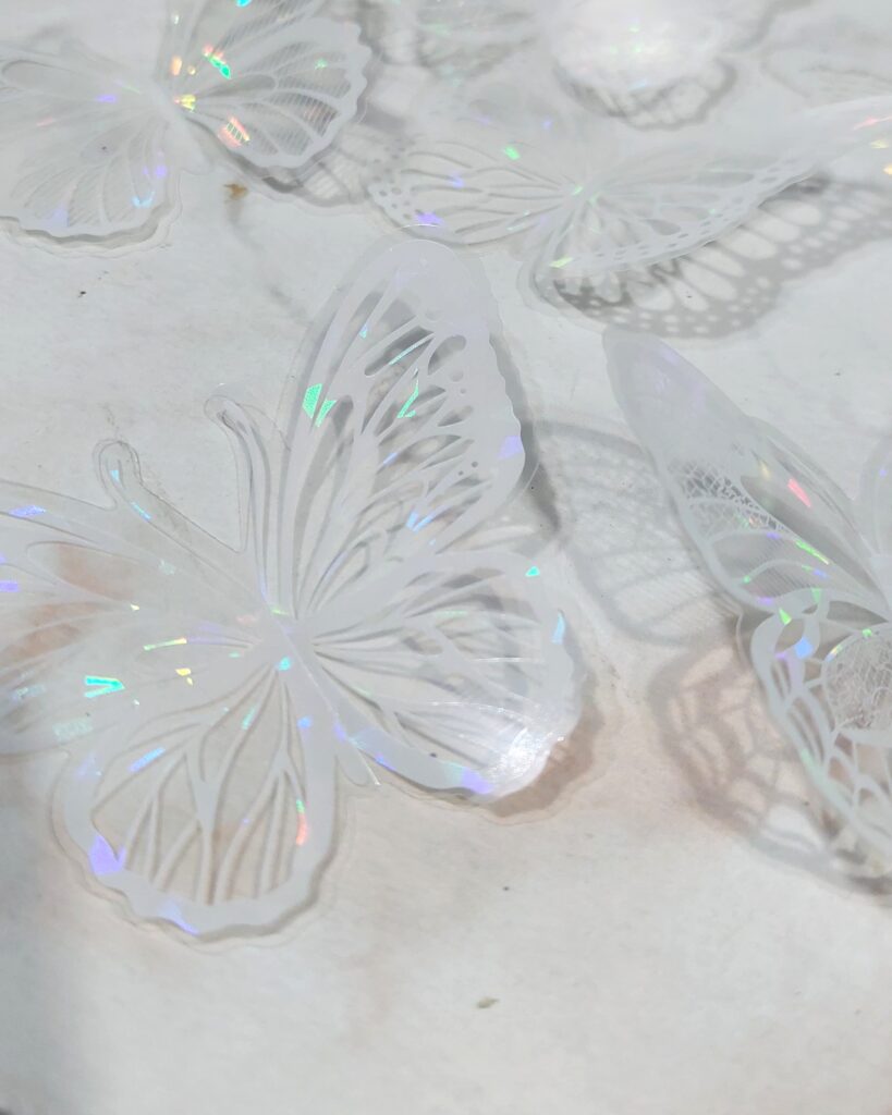 mariposas tornasol 2