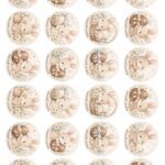 Lámina chocotransfers Pascuas Oreo M 4 ( 2026)