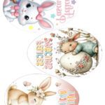 Lámina chocotransfers Huevo plano Parpen 15 cm  M 1