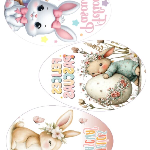 Lámina chocotransfers Huevo plano Parpen 15 cm  M 1